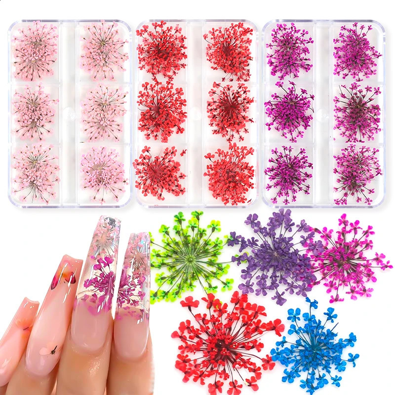 3D Dry Flower Nail Art Decoration Real Mini Dried Blossom Stickers Natural Floral Charms s DIY Manicure Nails Accessories 241223