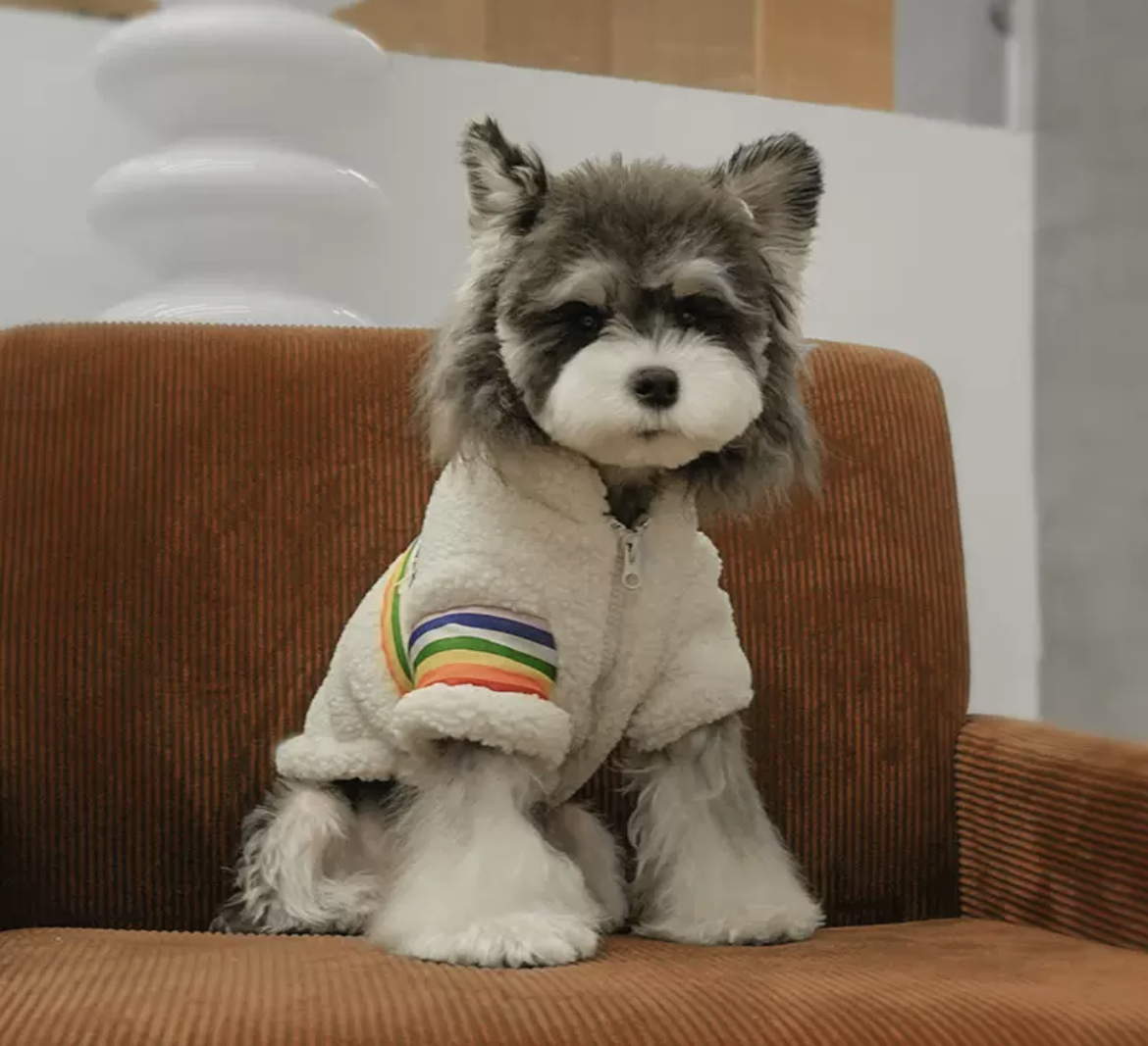 Dog clothes autumn and winter rainbow wool lamb wool thick warm two legs cotton clothing Schnauzer teddy pet clothing wholesale