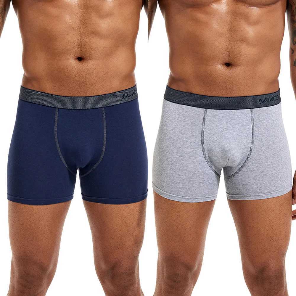 Boxers Mens Boxing Shorts Mens Brand Underwear Mens Underwear Mens Cotton Sexy Mens Calecon Family W241223