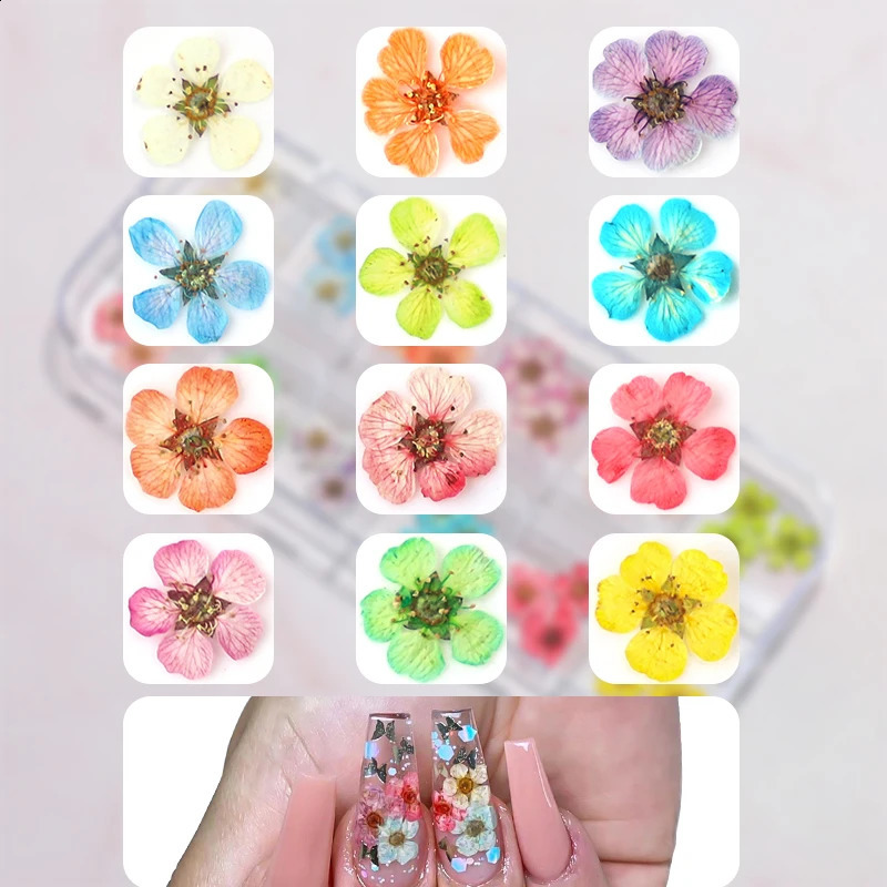 3D Dry Flower Nail Art Decoration Real Mini Dried Blossom Stickers Natural Floral Charms s DIY Manicure Nails Accessories 241223