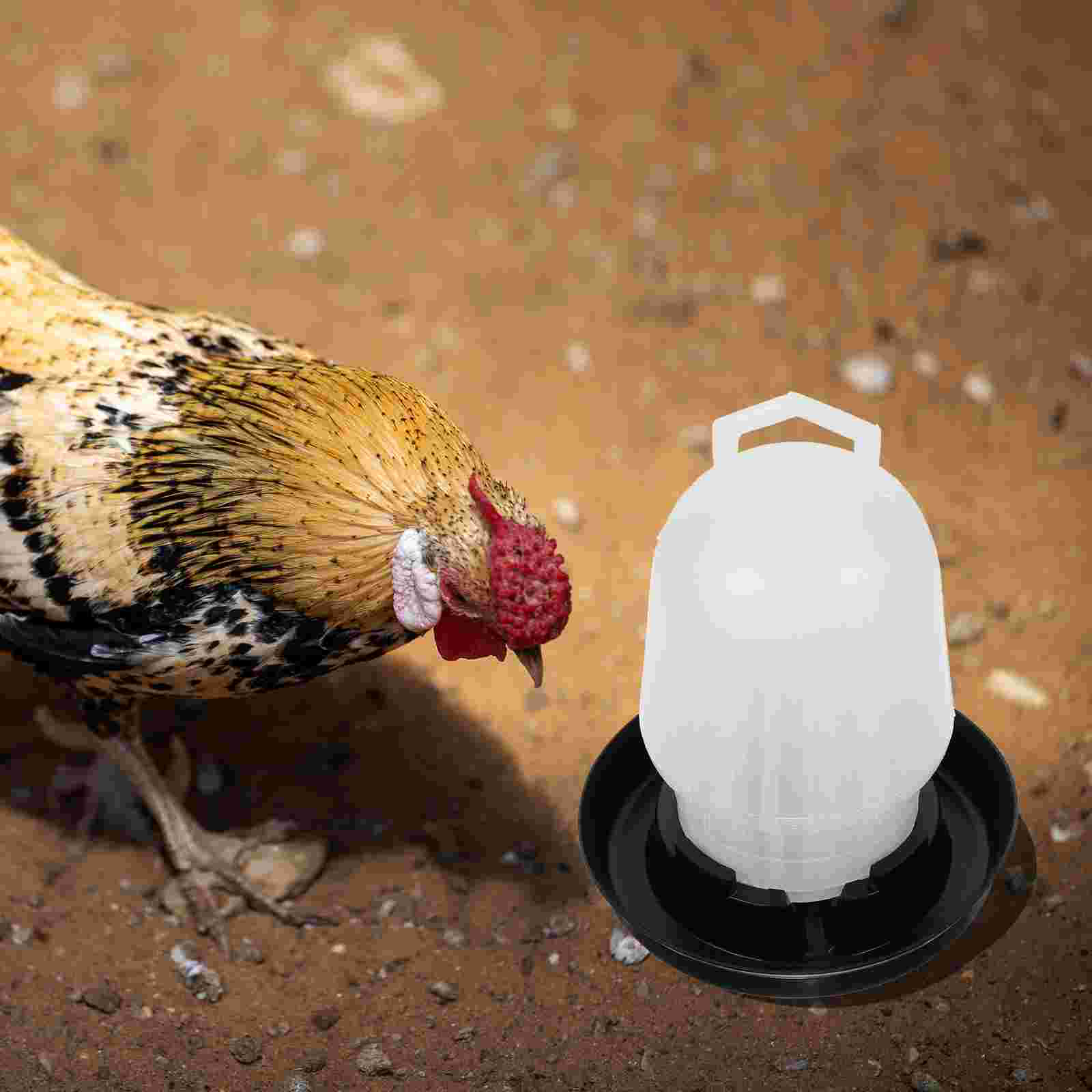 Automatic Chicken Waterer Cups Watering Holder Dispenser Poultry Feeder Goblets