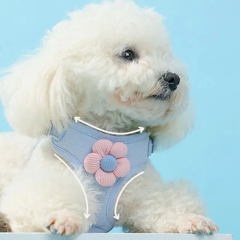 Dog Cat Harness Vest Chest Rope Set Breathable Adjustable Pet Harness for Small Medium Dogs Outdoor Walking