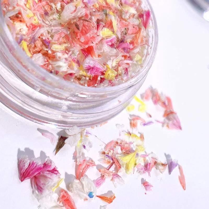 TSZS Nail Art DIY Decorations Japanese Style UV Gel Dried Flower For Nails Art Jewelry Charms Flower Beauty Salon Decos 241223