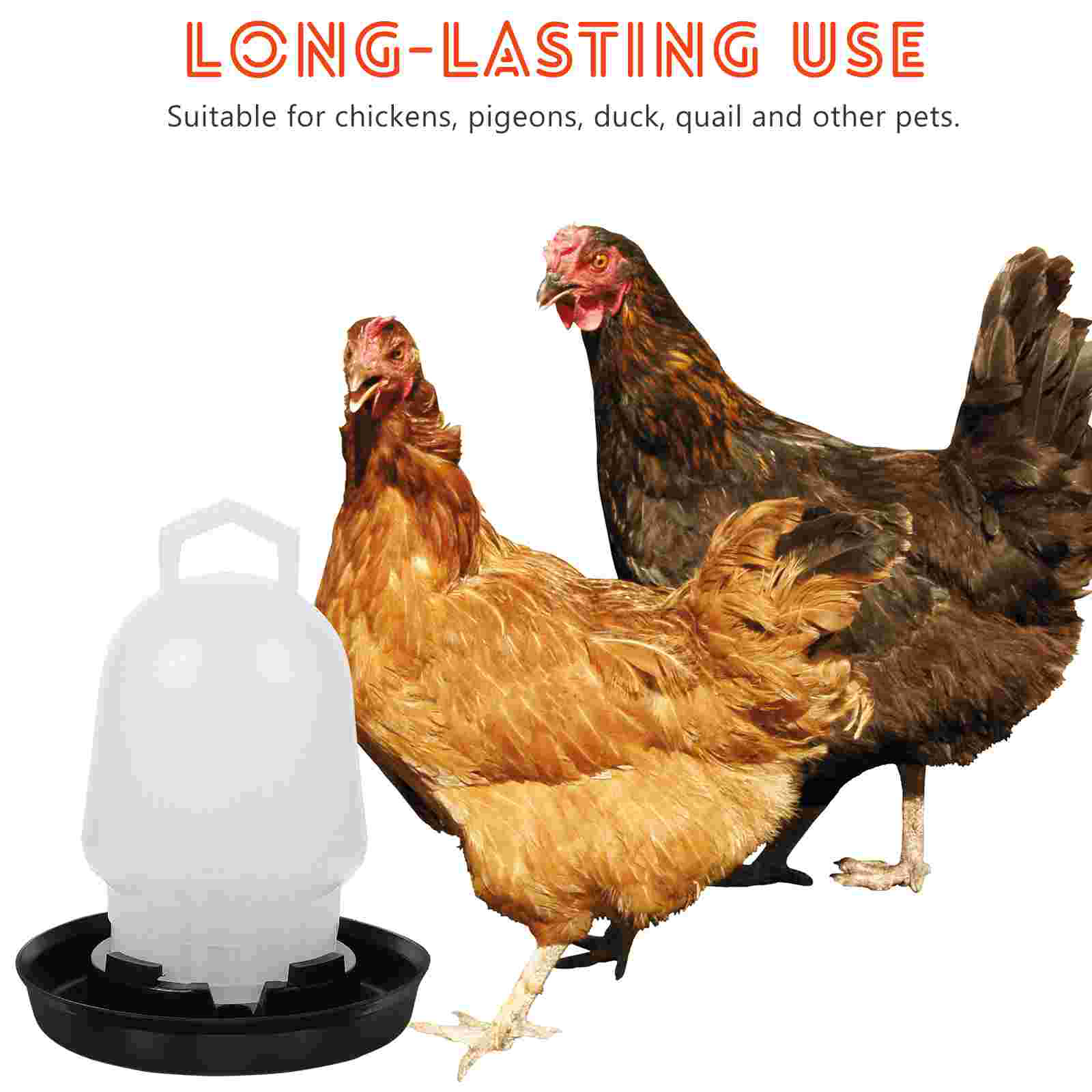 Automatic Chicken Waterer Feeder Watering Holder Storage Bucket Cups Large Supplies and Trough