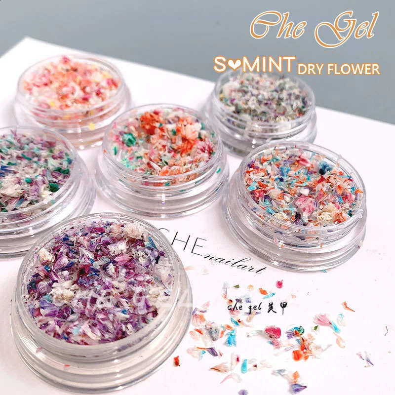 TSZS Nail Art DIY Decorations Japanese Style UV Gel Dried Flower For Nails Art Jewelry Charms Flower Beauty Salon Decos 241223