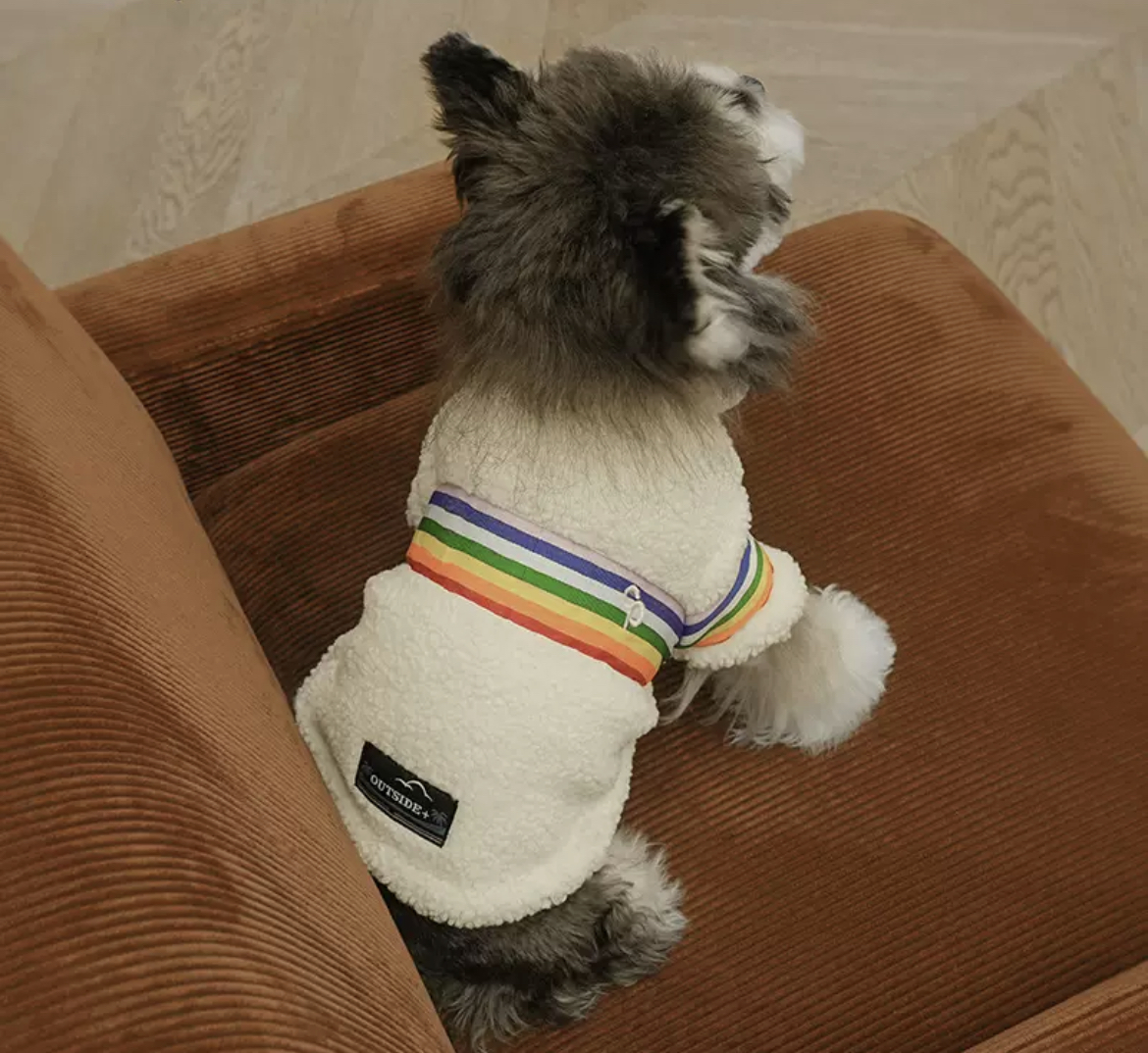 Dog clothes autumn and winter rainbow wool lamb wool thick warm two legs cotton clothing Schnauzer teddy pet clothing wholesale