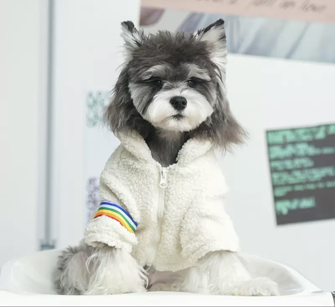 Dog clothes autumn and winter rainbow wool lamb wool thick warm two legs cotton clothing Schnauzer teddy pet clothing wholesale
