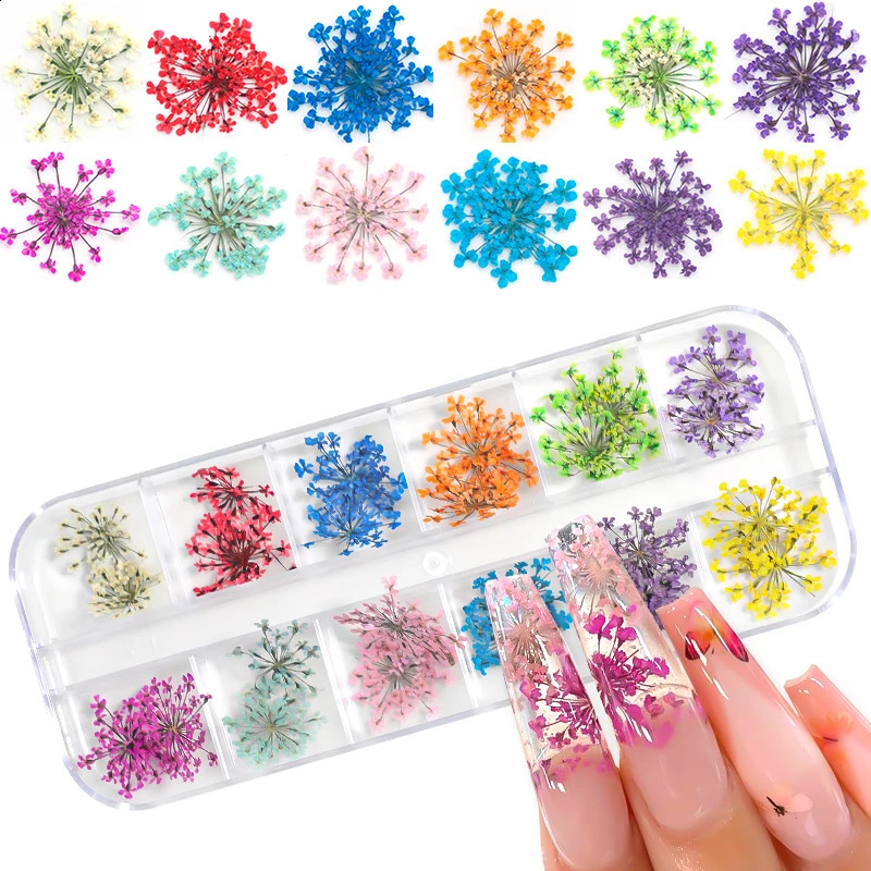 3D Dry Flower Nail Art Decoration Real Mini Dried Blossom Stickers Natural Floral Charms s DIY Manicure Nails Accessories 241223