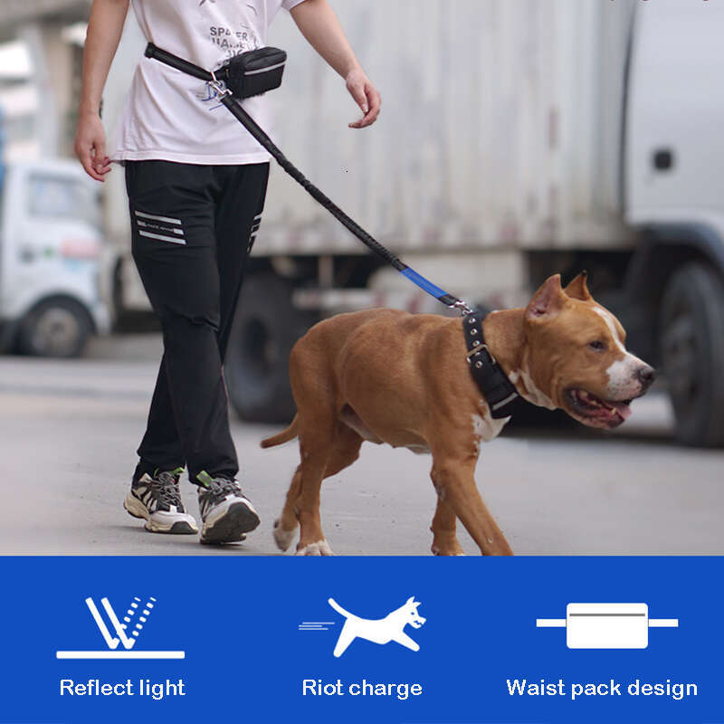 DHpet Hands Free Reflective Dog Leash with Zipper Pouch Dual Padded Handles and Durable Bungee Leash Walking Running Jogging for Small Medium and Larg