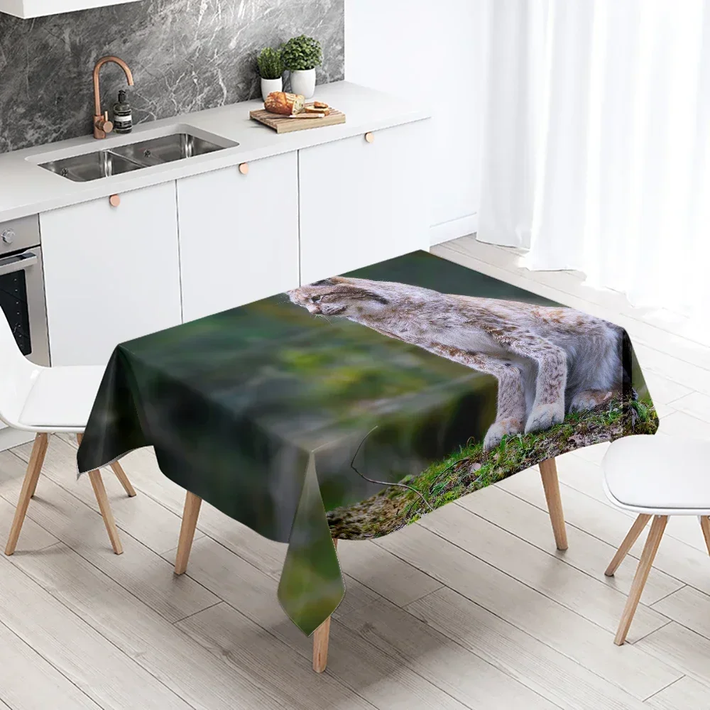Tablecloth Party Restaurant Table Decoration Waterproof Rectangular Kitchen Kawaii New Home DN8