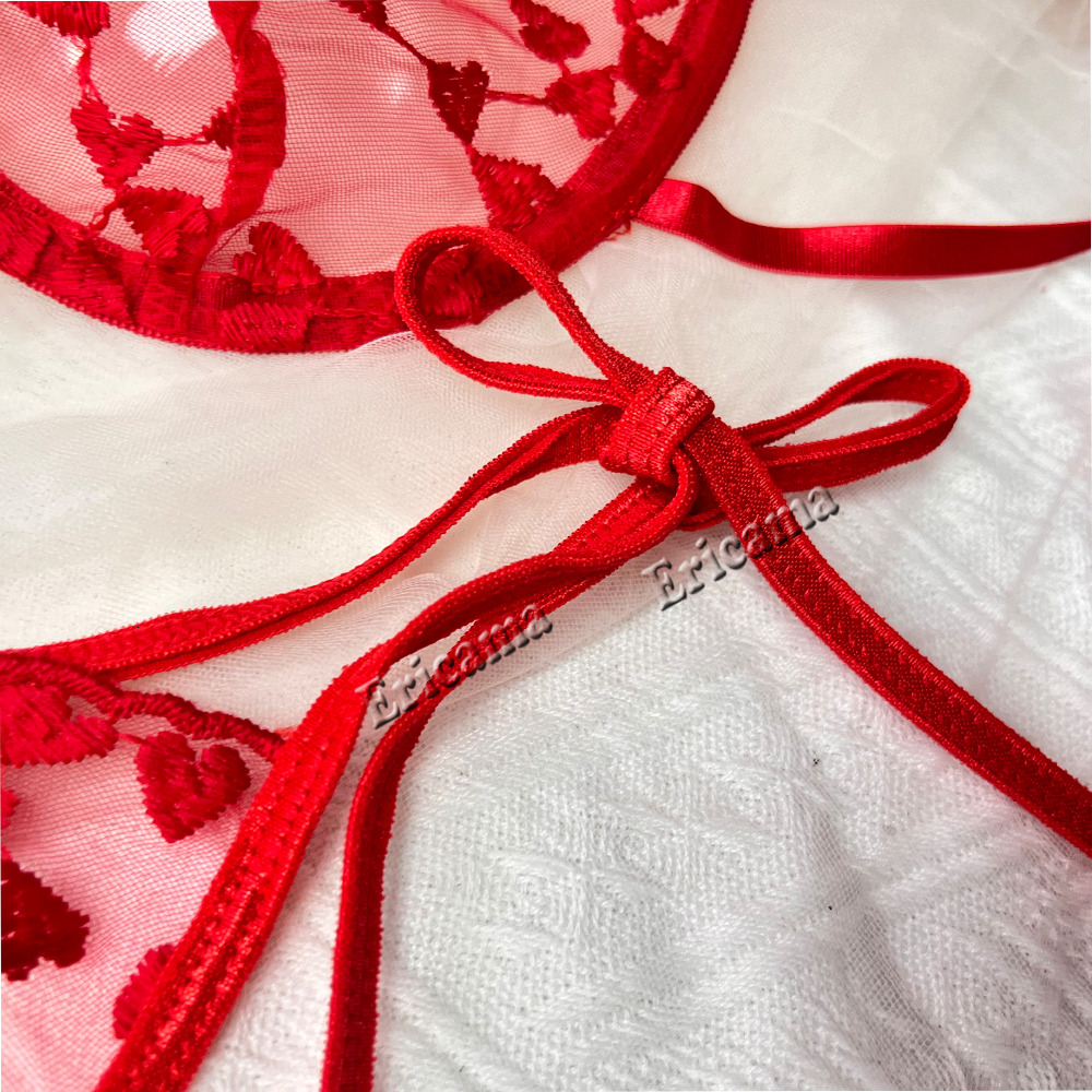 Women Night Beautiful 2 Piece Ral Embroidery Underwear Sexy Gerie Underwear Set Erotic Bra Set