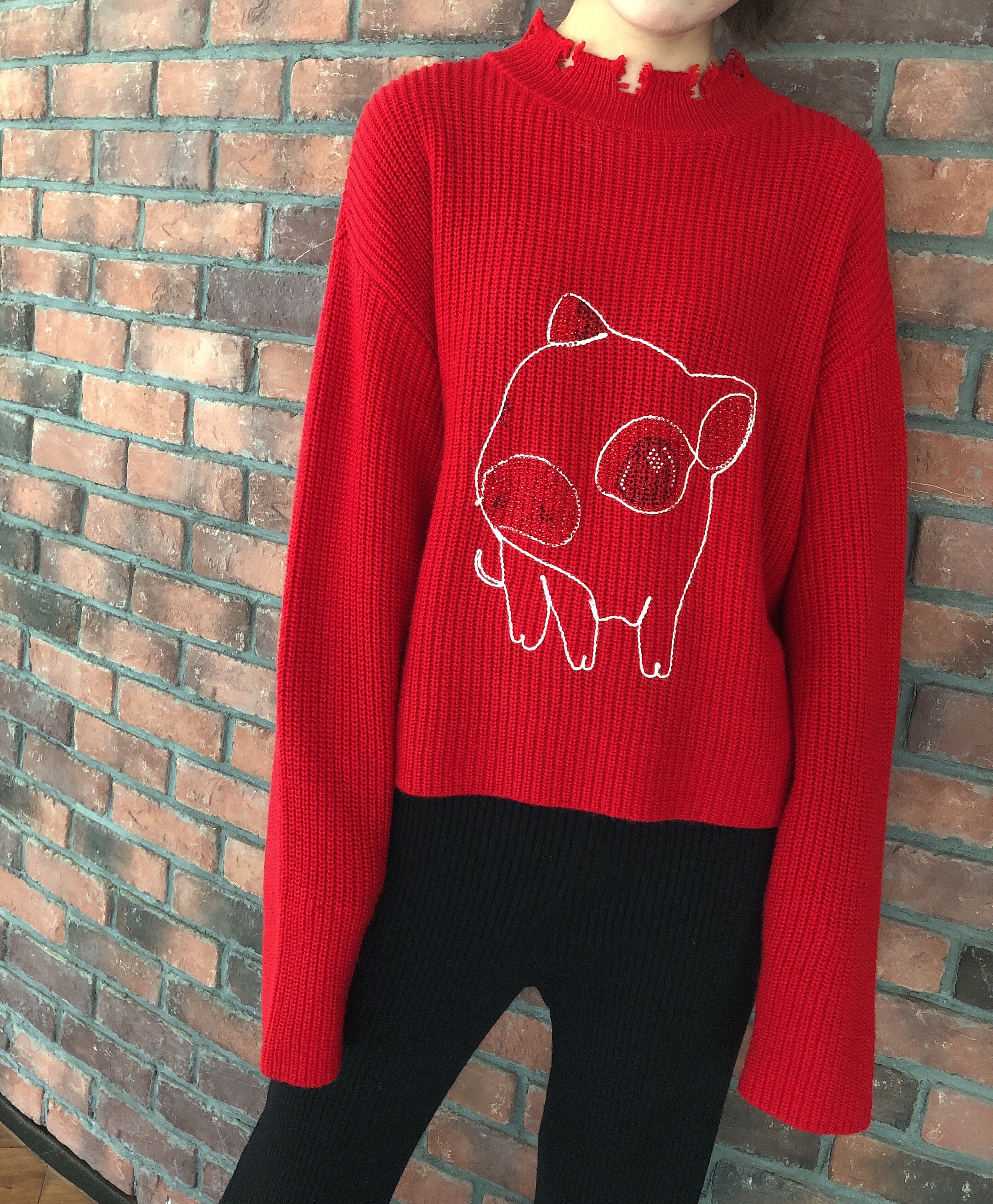 Women's Autumn Winter Wool Sweater - Slim Fit, Stylish Interior Top