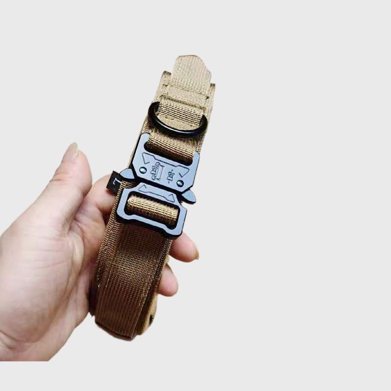 Pet Dog Collar Leash Set Nylon Material Durable Dog Collar Reflective Leash Pet Tactical Training