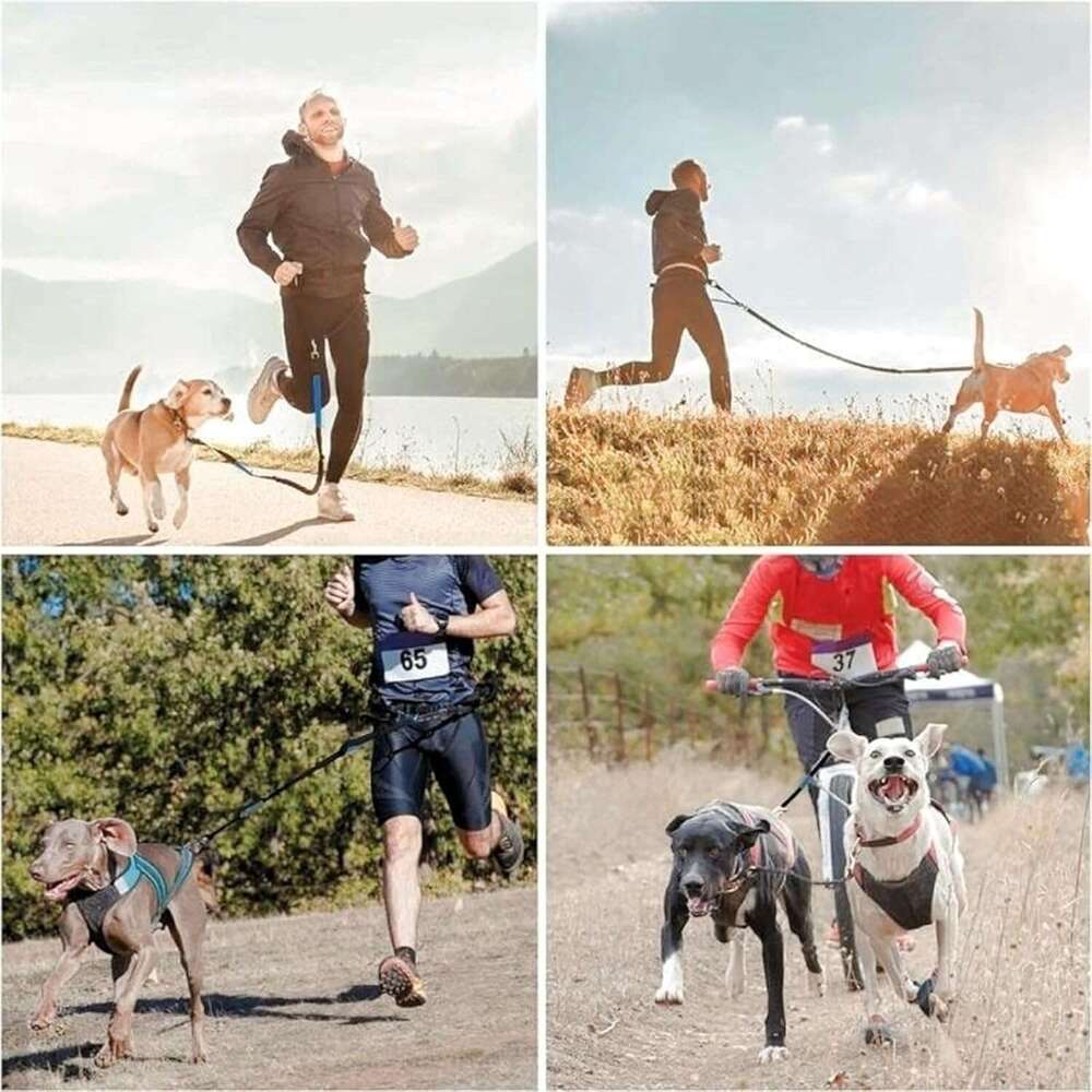DHpet Hands Free Reflective Dog Leash with Zipper Pouch Dual Padded Handles and Durable Bungee Leash Walking Running Jogging for Small Medium and Larg