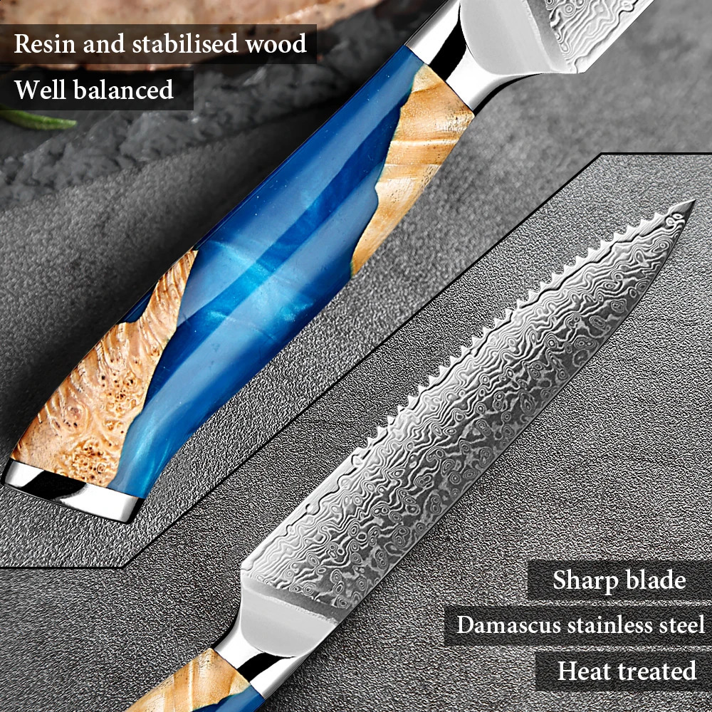 Steak Knife Sharp Grilled Steak Knife Set 5-inch Damascus Steel Steak Knife Set Professional Straight Edge Kitchen Table Knife 241223