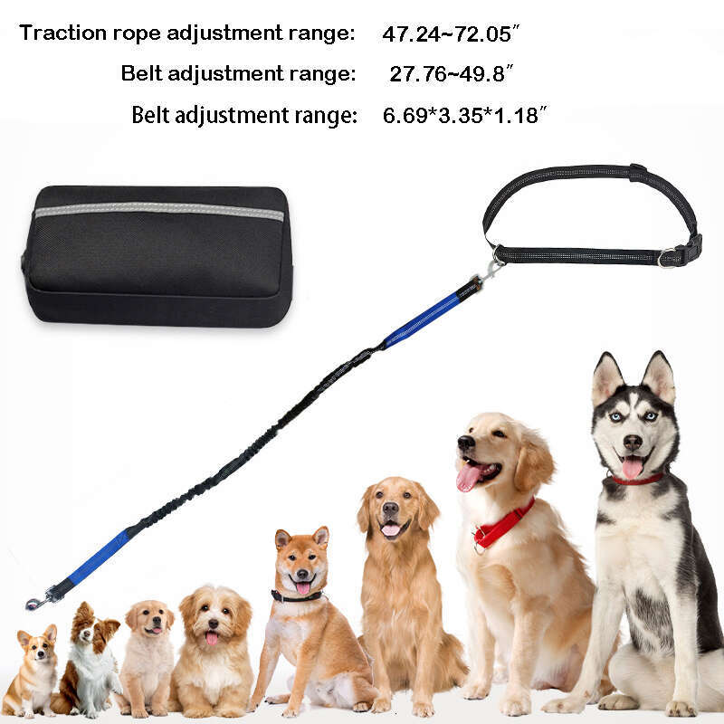 DHpet Hands Free Reflective Dog Leash with Zipper Pouch Dual Padded Handles and Durable Bungee Leash Walking Running Jogging for Small Medium and Larg