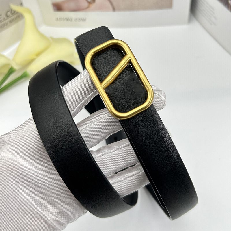V Luxury Designer Belt for Women Genuine Leather Cowhide Width 2.5cm Men Designers Belts Bronze Buckle Silver Womens Waistband Cintura