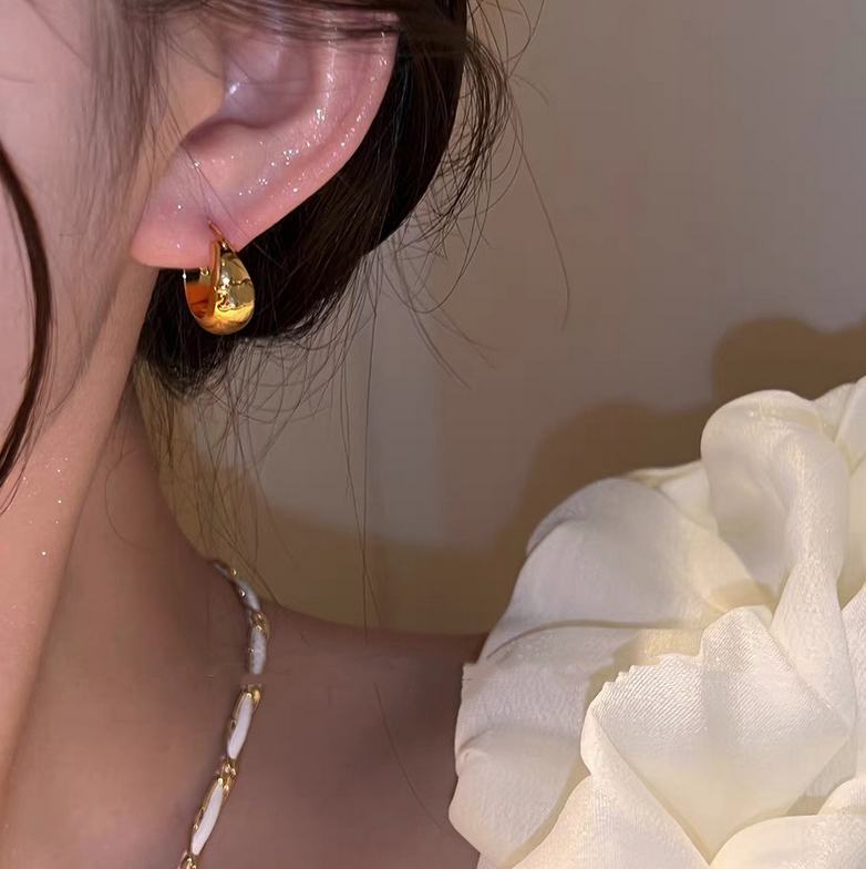 Fashion INS Circle Hoop Earrings Stud Classic Designer Earring Gold Plated Eardrop aretes orecchini Top Quality Party Wedding Jewelry for Women Gift