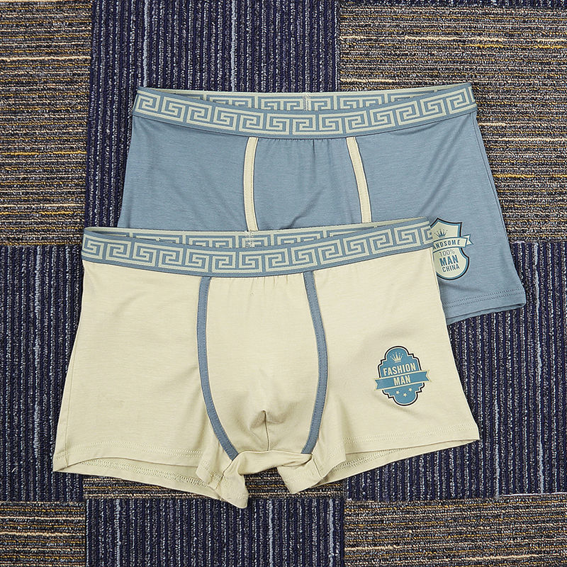 2 Pcies/set New Men's Seamless Breathable Boxer Fashion Personalized Underwear