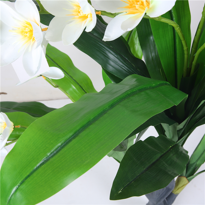 Chic Artificial Anemone Blossoms Displayed in Sturdy Glass Vase Ideal for Contemporary Spaces