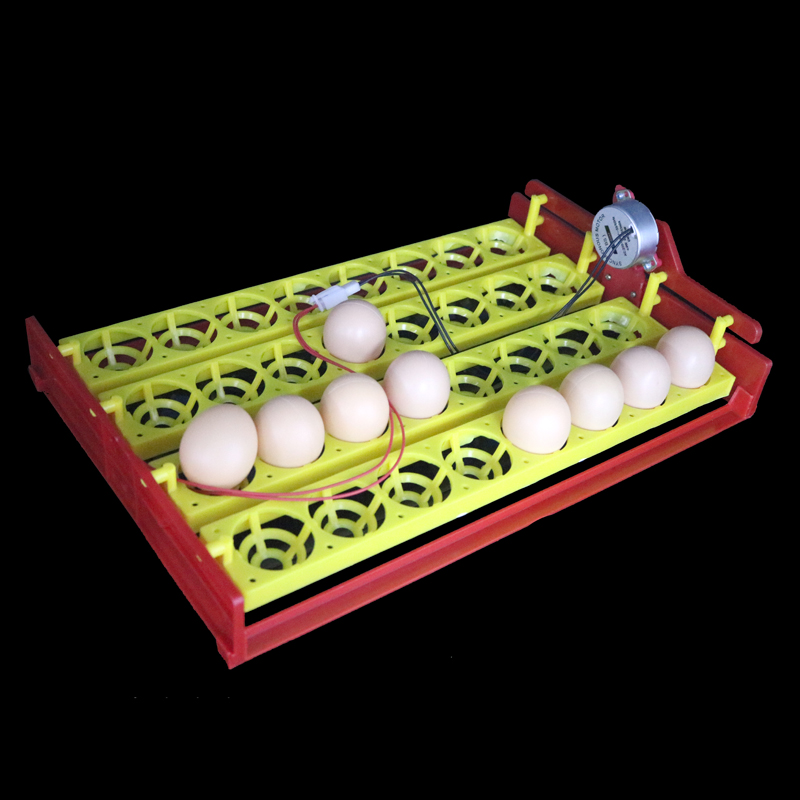 32 Eggs Turn Tray Automatic Incubator Egg Tray 110v / 220v / 12v Chicken Duck Eggs Tray 28 X 43 cm 8 Holes