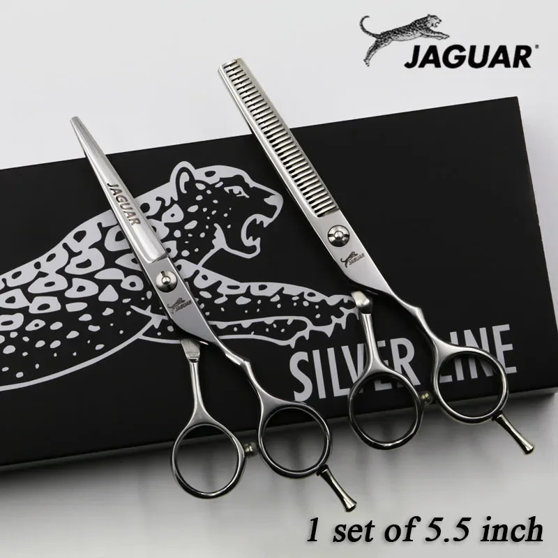 5/5.5/6/6.5 hair scissors Professional Hairdressing scissors set CuttingThinning Barber shears High quality 241225