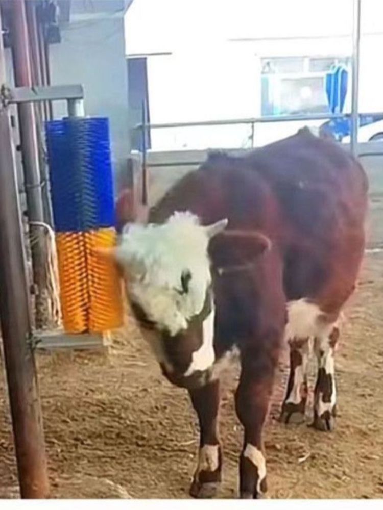 Roller Cleaning Brush Cow Body Brush Cow Scratching Rotating Stick Cow Massage Scratching Tool Farm Horse Cow Sheep Itch Tool