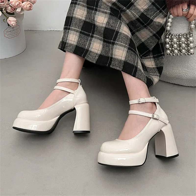 Mary Jane Pumps for Women Girls Fashion Wine Red Chunky Heel Wedding Dress Shoes Spring Pumps Classic Double Buckle Shoe 241225