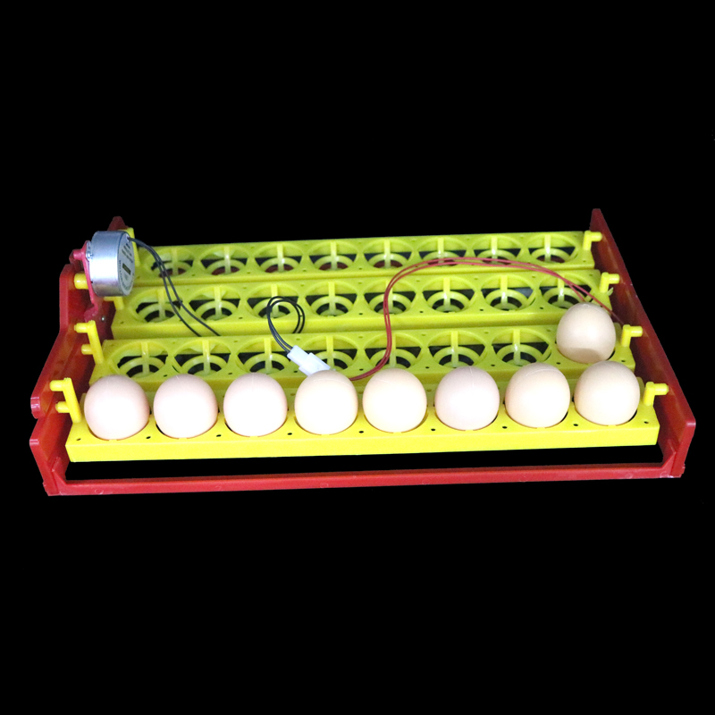 32 Eggs Turn Tray Automatic Incubator Egg Tray 110v / 220v / 12v Chicken Duck Eggs Tray 28 X 43 cm 8 Holes