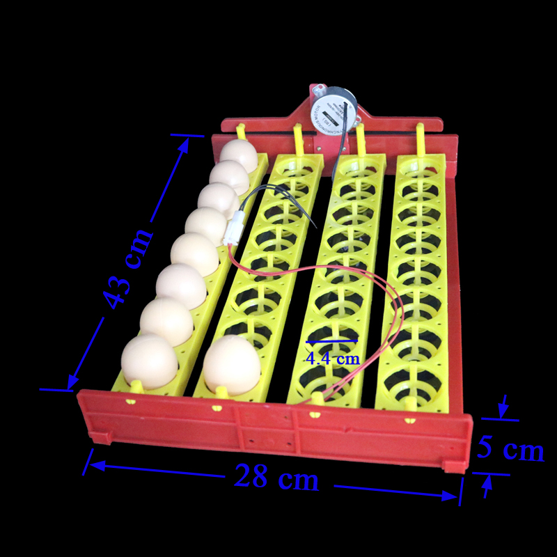 32 Eggs Turn Tray Automatic Incubator Egg Tray 110v / 220v / 12v Chicken Duck Eggs Tray 28 X 43 cm 8 Holes