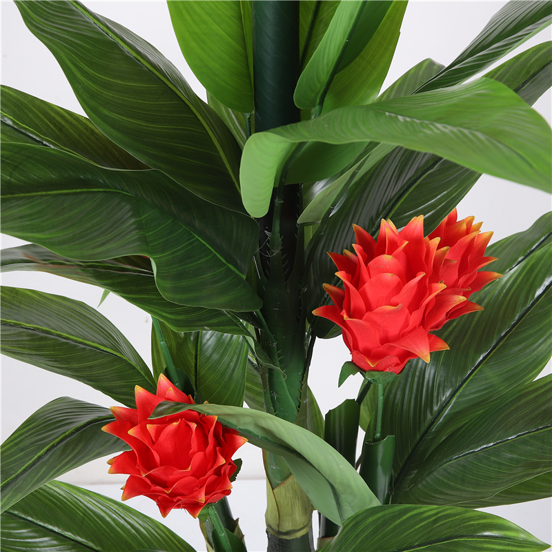 Stylish Anemone Flower Bouquet Encased in Durable Glass Container Aesthetic Accent for Trendy Home Environments