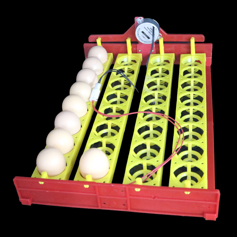 32 Eggs Turn Tray Automatic Incubator Egg Tray 110v / 220v / 12v Chicken Duck Eggs Tray 28 X 43 cm 8 Holes