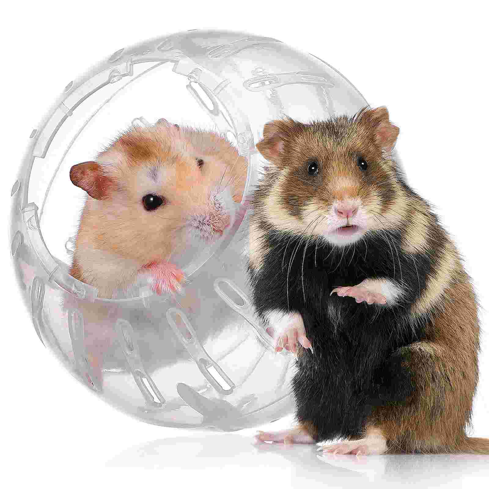 Hamster Toy Exercise Balls for Cage Rat Animal Small Animals Supplies Guinea Pig Running Dwarf Gerbil