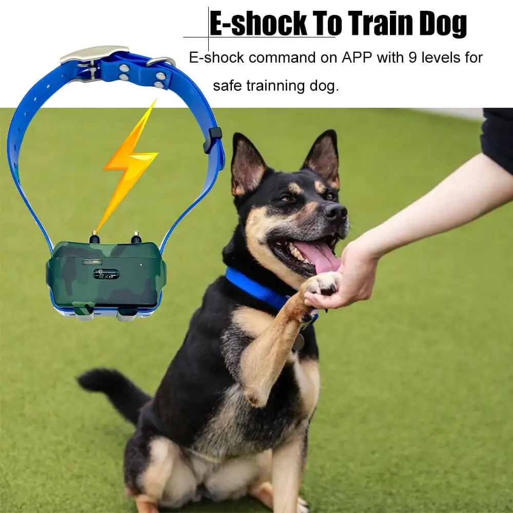 4G Hunting Dog GPS Collar Waterproof 4000mAH Capacity Animal Tracking Pet Locator Free APP With Shock/Beep/Light Function