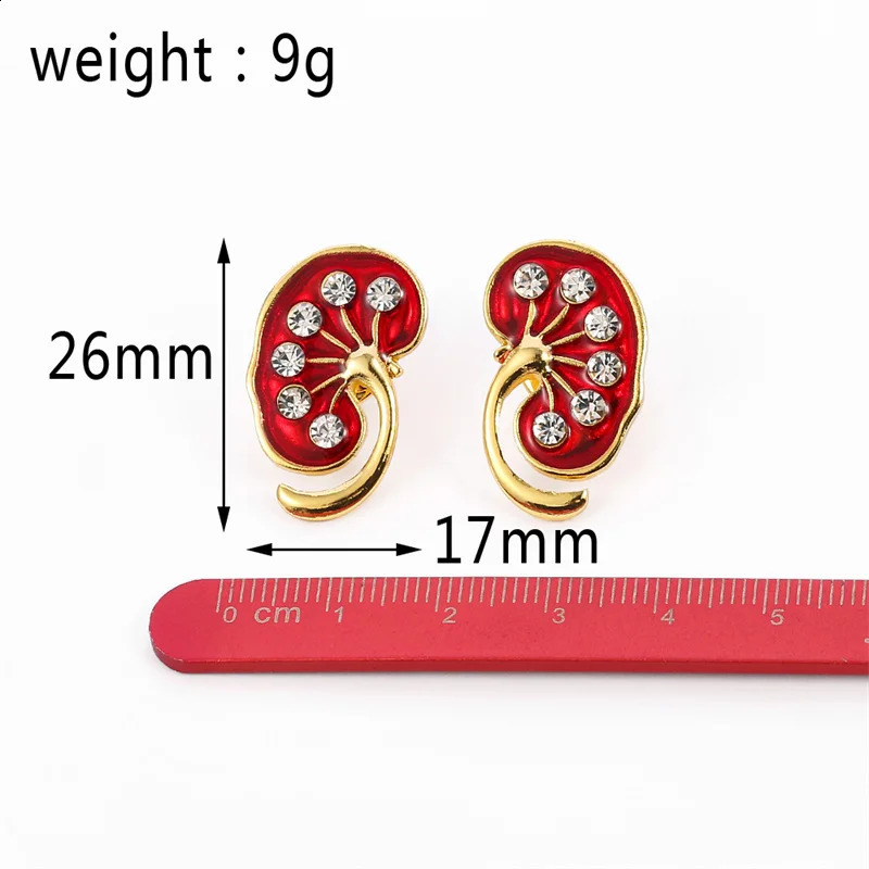 Wholesale 10Pcs/Lot Red Kidney Crystal Enamel Pin Gift Doctor Nurse Brooches Jewellery Accessories Badge 241224