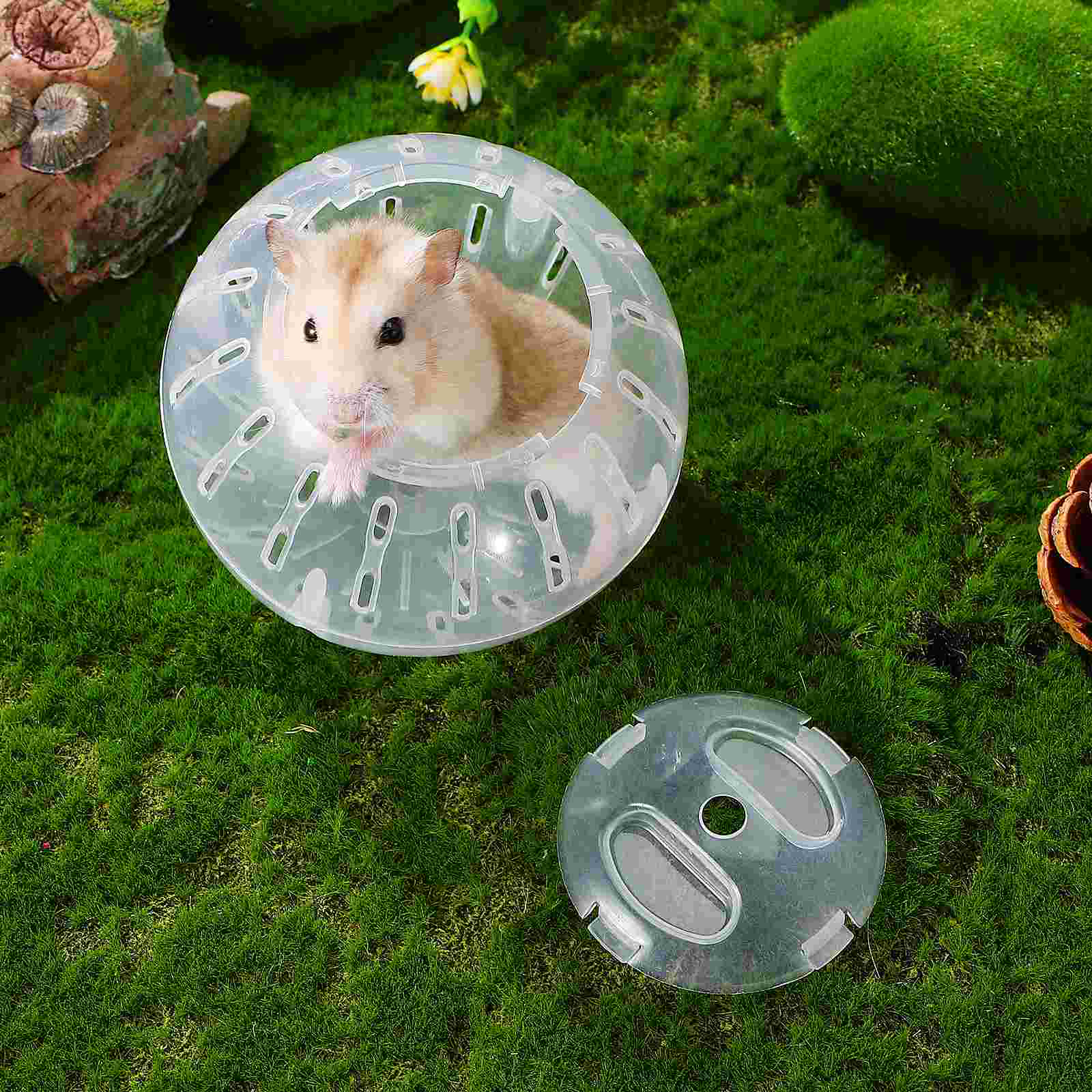 Hamster Toy Cage Rat Running Balls Supplies Exercise for Guinea Pig Gerbil Dwarf Hedgehog Pet