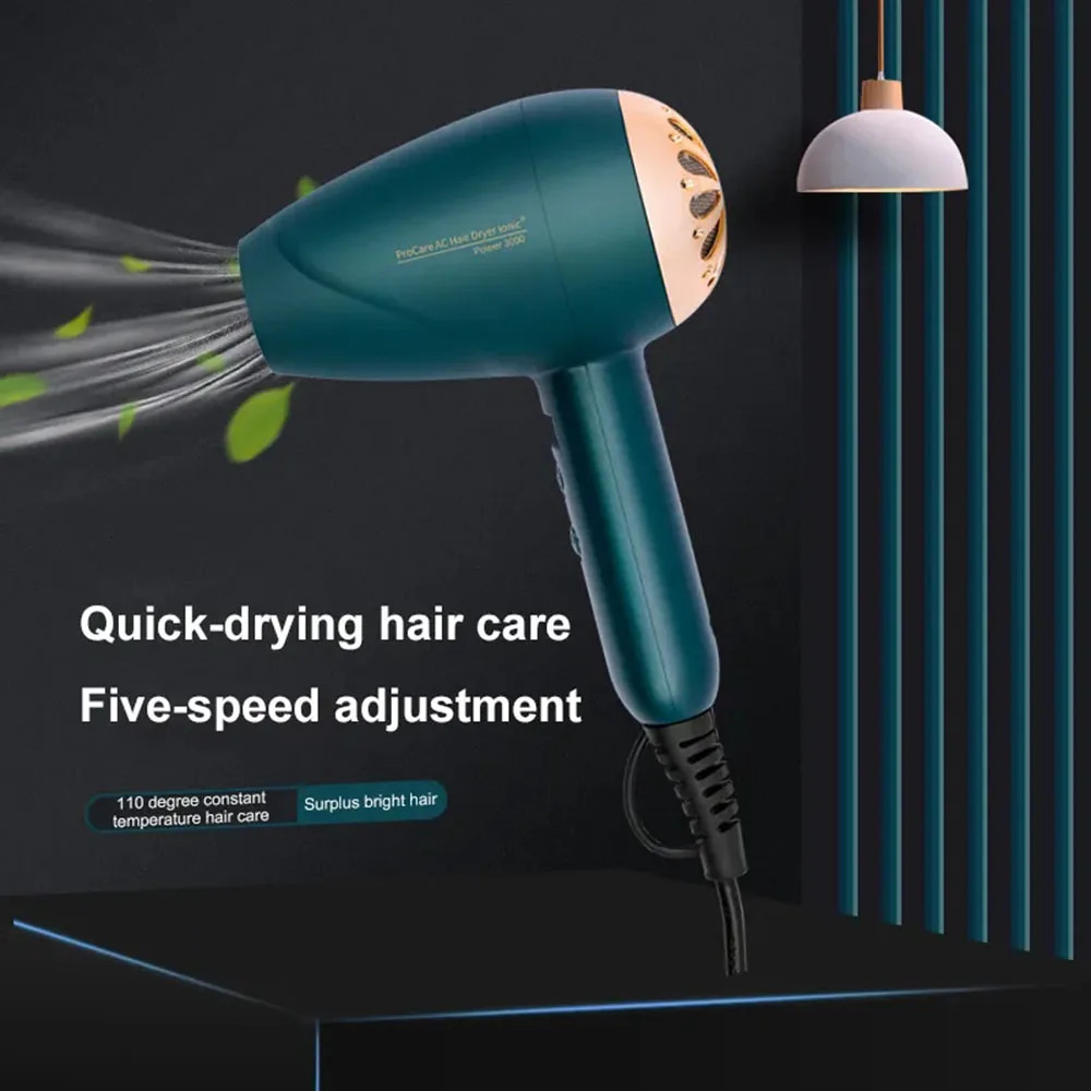 3000W Professional Hair Dryer with LED Temperature Display Electricity Blower and Cold Air Hairdyer Strong Wind Dry Quickly 241225