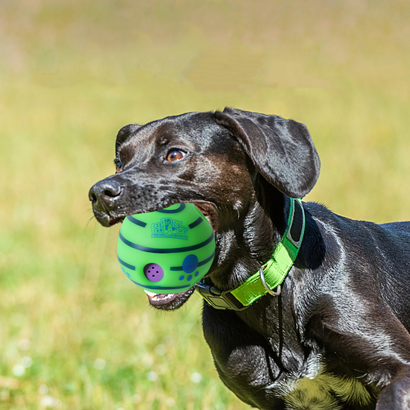 Interactive Doggy Barking Squeaker Ball - Fun Pet Plaything