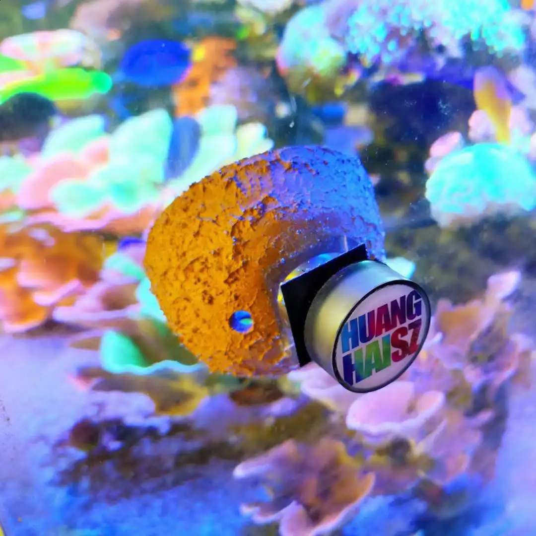 Magnetic Anemone Nest Prevent Running Away Clay and Live Rock Made for Aquarium Reef Tank Aquarium Plants 241225