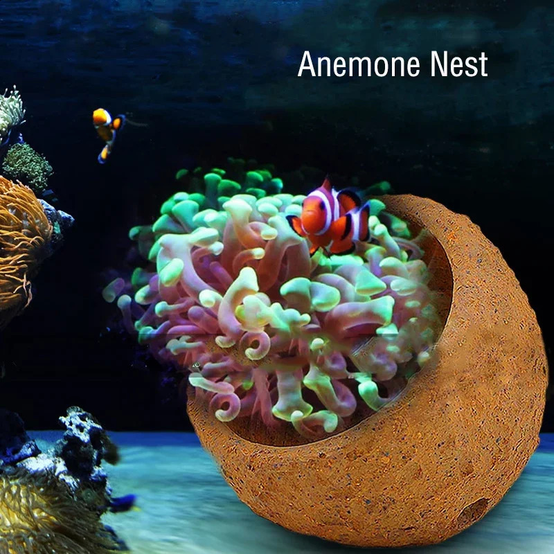 Anemone Nest Prevent Running Away Clay and Live Rock Made for Aquarium Reef Tank Aquarium Plants 241225
