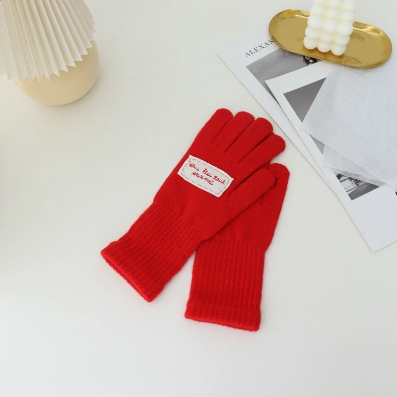 Women Korean Chic Winter Gloves Girls Colorful Unisex Letter Labeling Warm Five Fingers Gloves For Women 241226