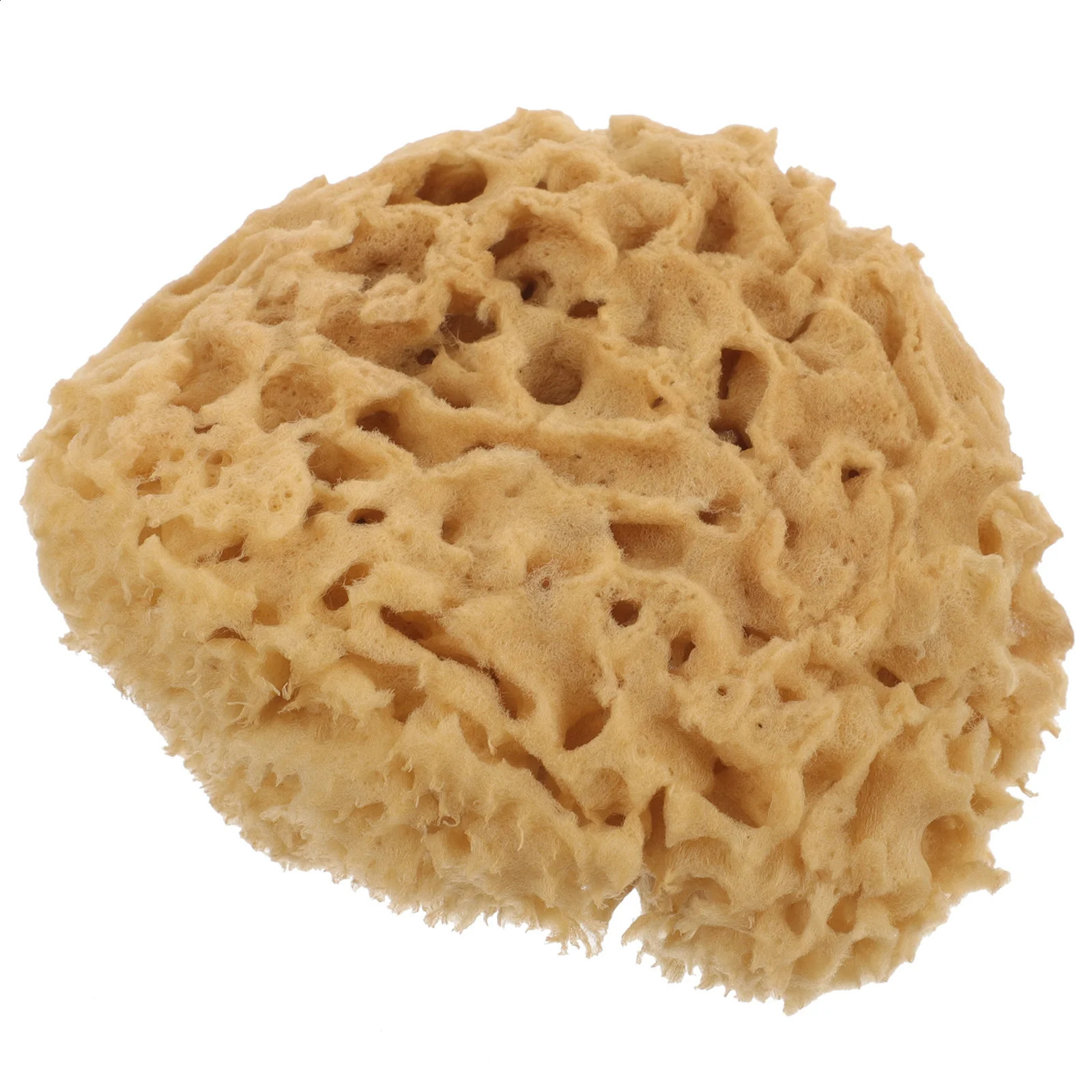 Greek Natural Sponge Shower Accessory Skin Cleaning Scrubber Sponges Exfoliating Bathing Ball High Quality Take 241226