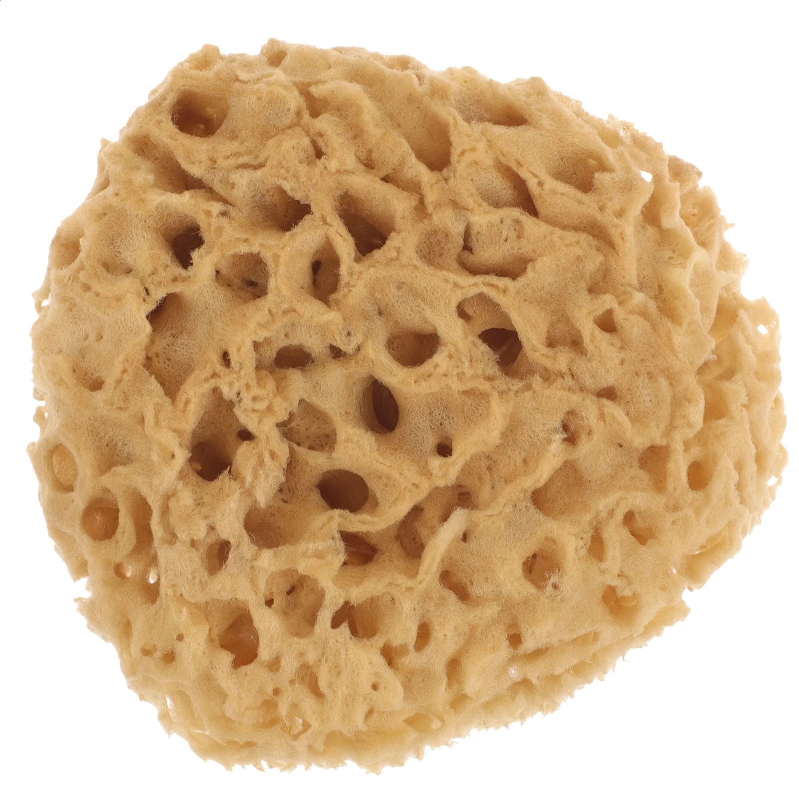 Greek Natural Sponge Body Exfoliating Sponge Loofah Sponges Household Honeycomb Scrubber Shower Bathing Skin Wash 241226