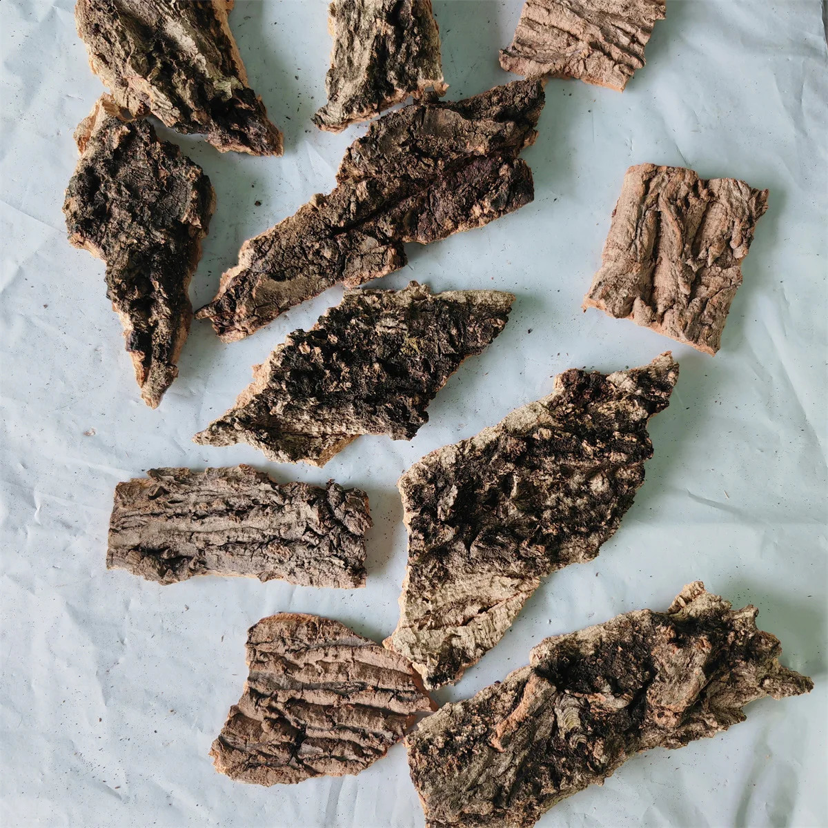 Natural Wood Aquarium Large Driftwood Bark Plant Aquarium Accessories for Fish Tank Tree Trunk Back Climber Reptile Lizard Cork 241225