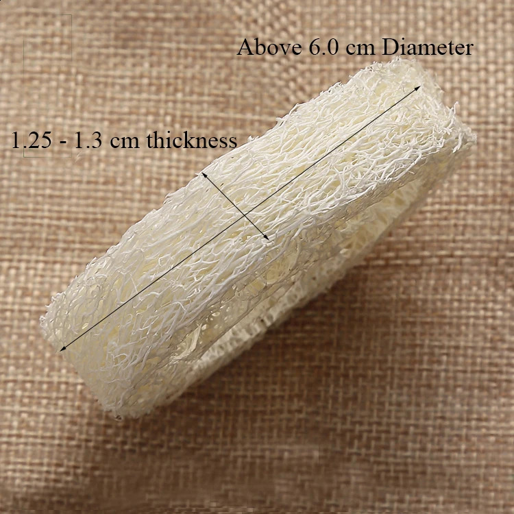 Wholesale 100pcs Natural Loofah Luffa Loofa Slices Handmade Loofah Soap Box Tray Tools Cleanner Sponge Soap Holder 241226