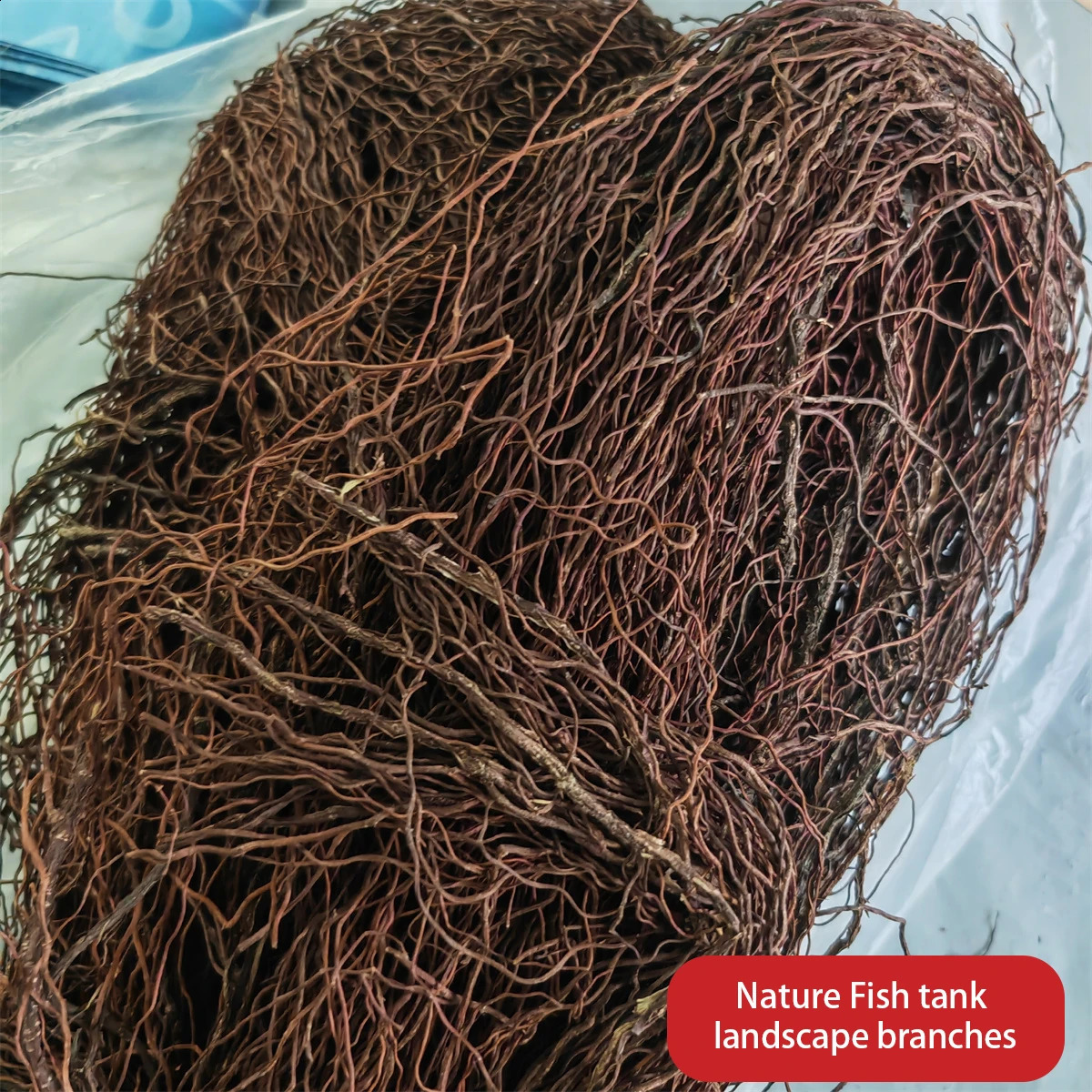 natural wood aquarium acuario aquarium tree root branch fish tank tree trunk Ecological rainforest landscape branches Plant 241225