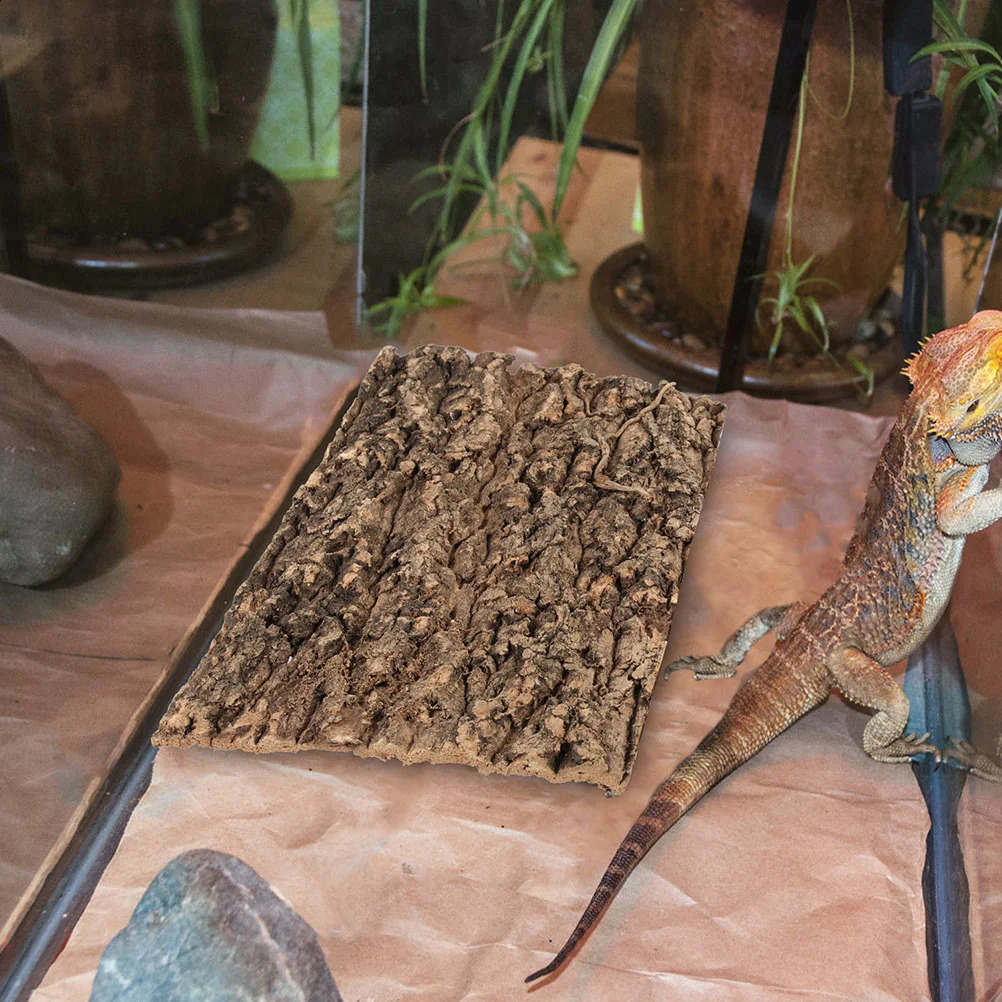3 Pcs Reptile Bark Backdrop Glass Containers Cork Reptiles Terrarium Background Plants Decor Wood 241225