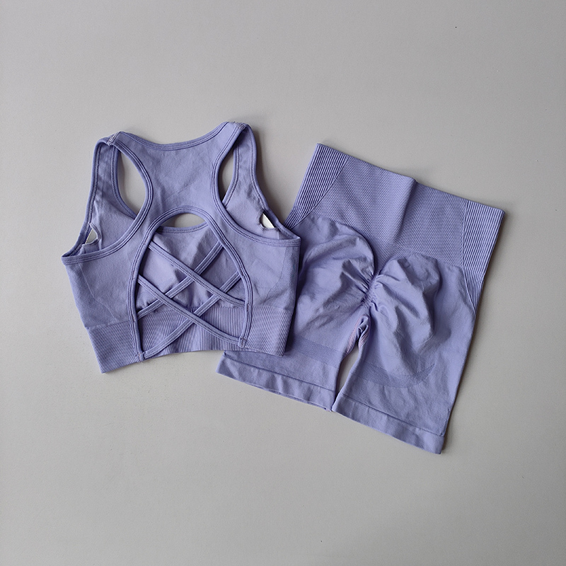 Seamless Yoga Set For Women, Sexy Sport Bra, High Waist Sports , Gym Clothing, Fiess Bra Set, 2 PCS Shorts Suit
