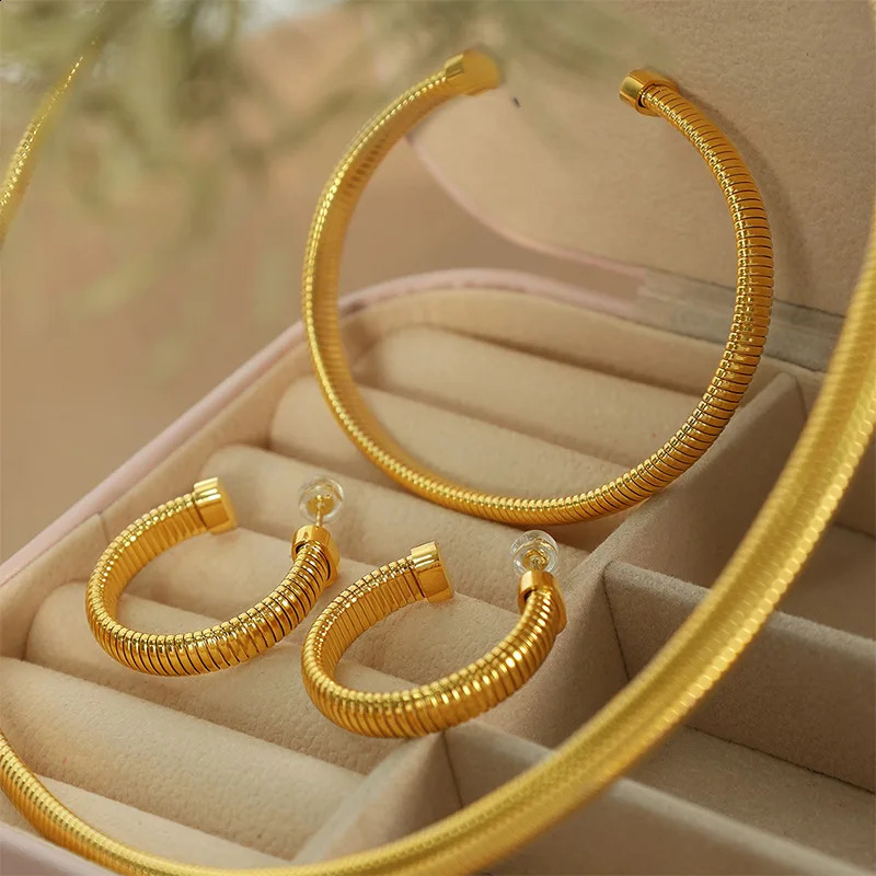 Hip-hop Style High-end Gold Color Retention Set European Style Heavy Metal Exaggerated Thread Large Necklace Bracelet Earrings 241226