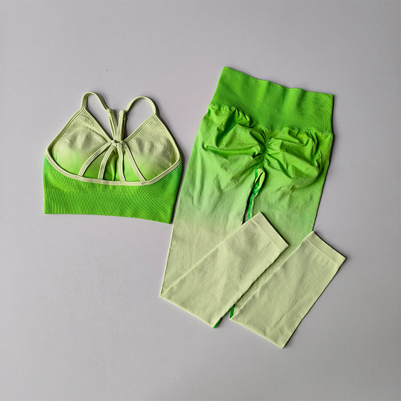Gradual Change Women's Shock-Proof Running Stretched Fiess Vest Quick-Drying Sports Bra Gym Yoga Suit